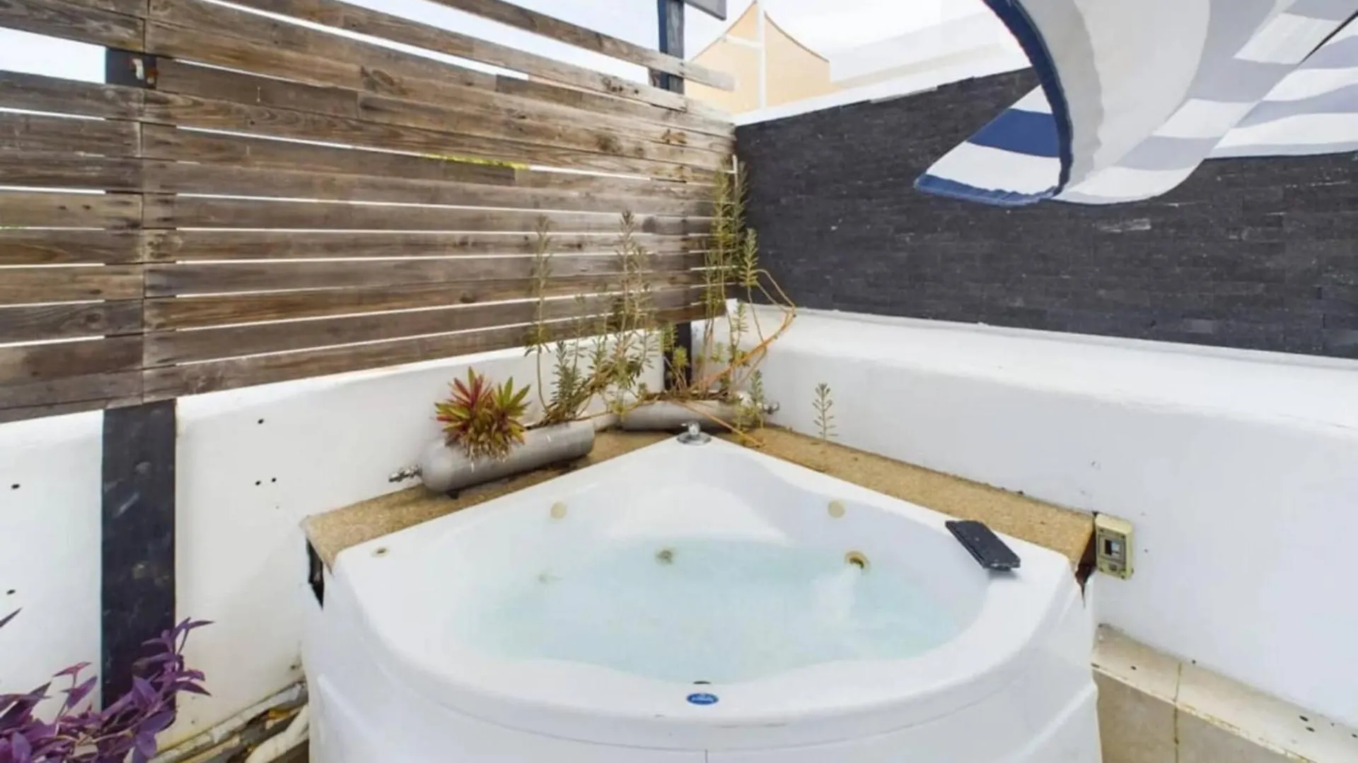 Stylish 2Br Penthouse Rooftop In פלאייה דל כרמן מקסיקו